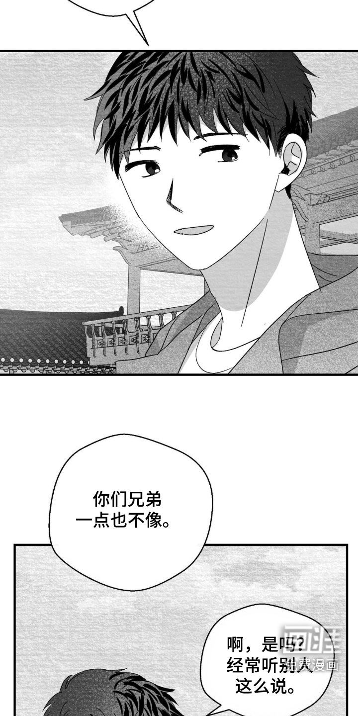第113话22