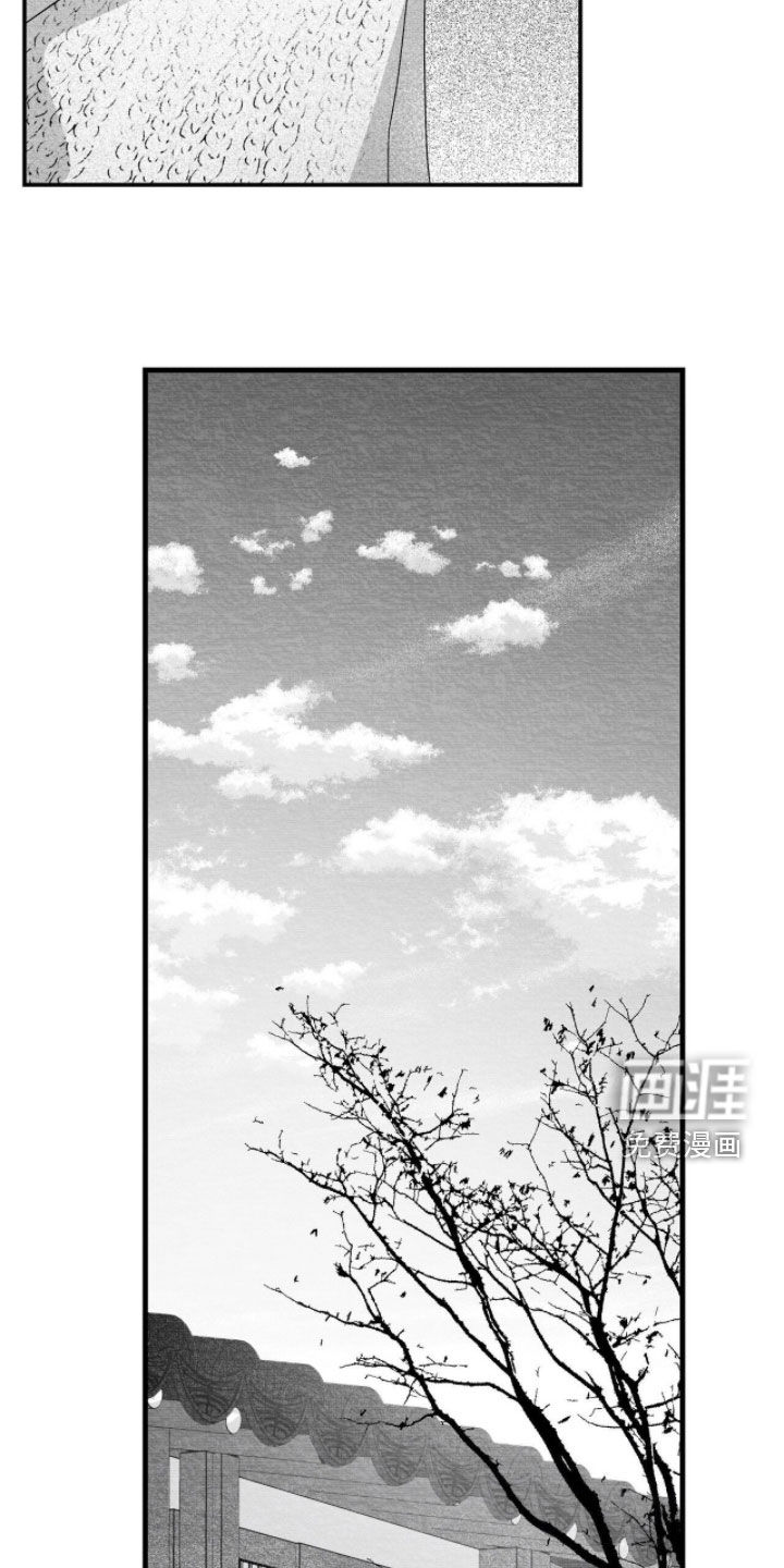 第110话7