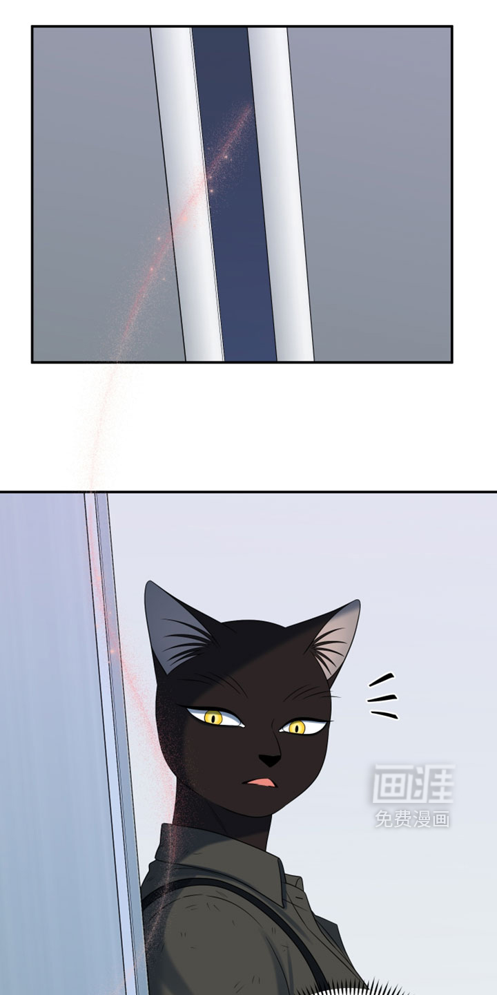 第204话26