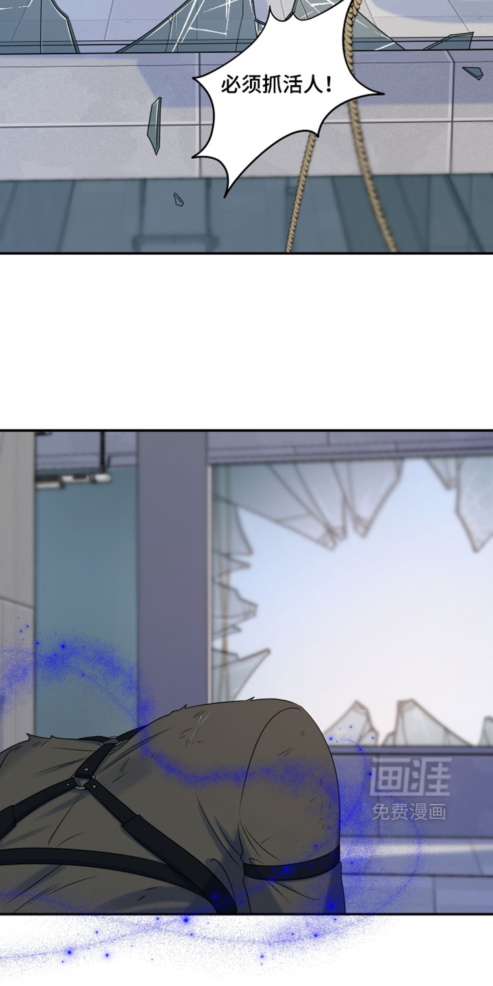 第204话8