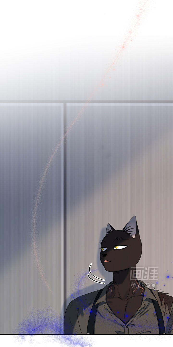 第204话18