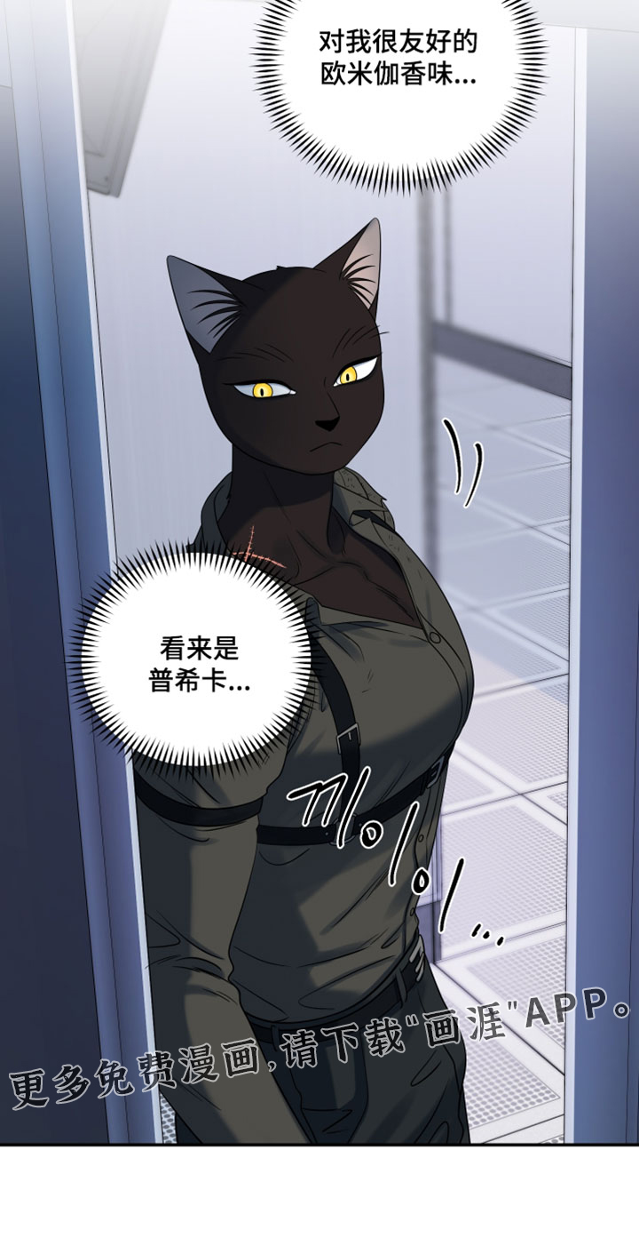 第204话28