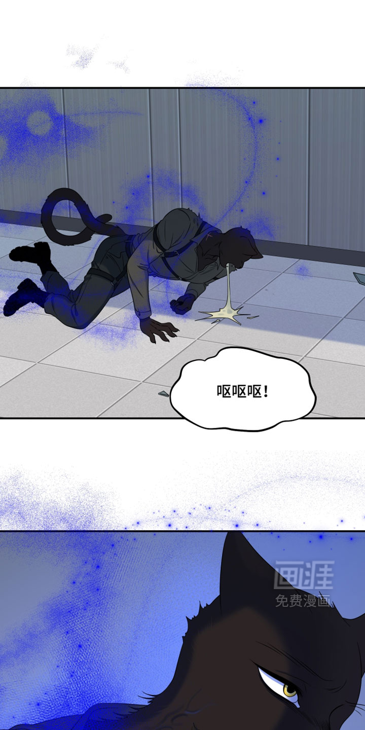 第204话9