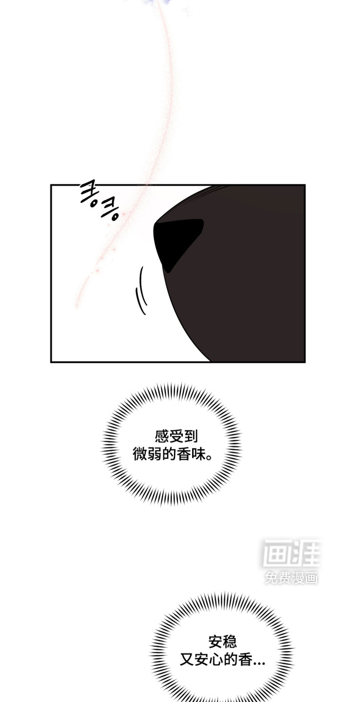第204话19
