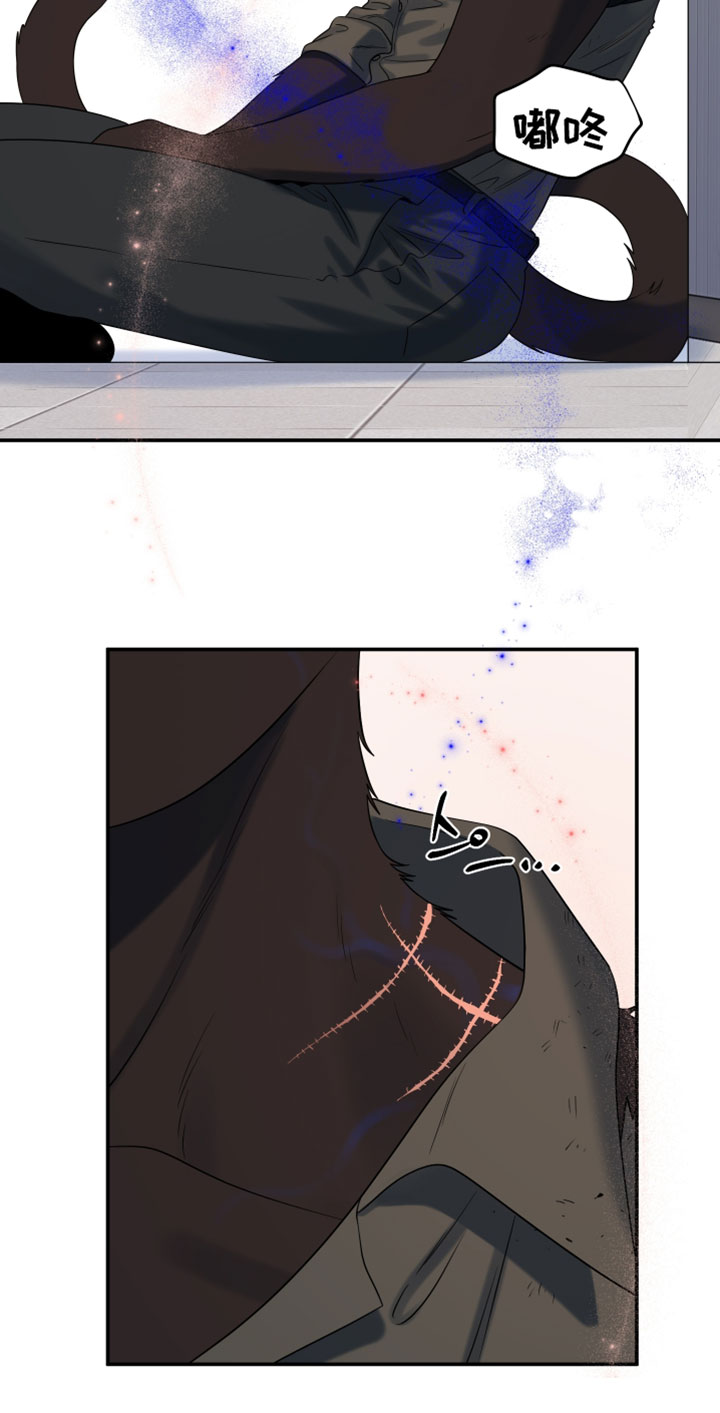 第204话17