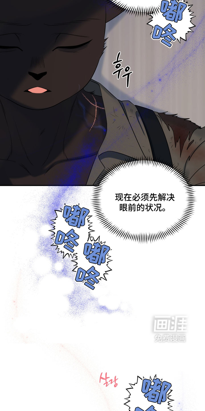 第204话15
