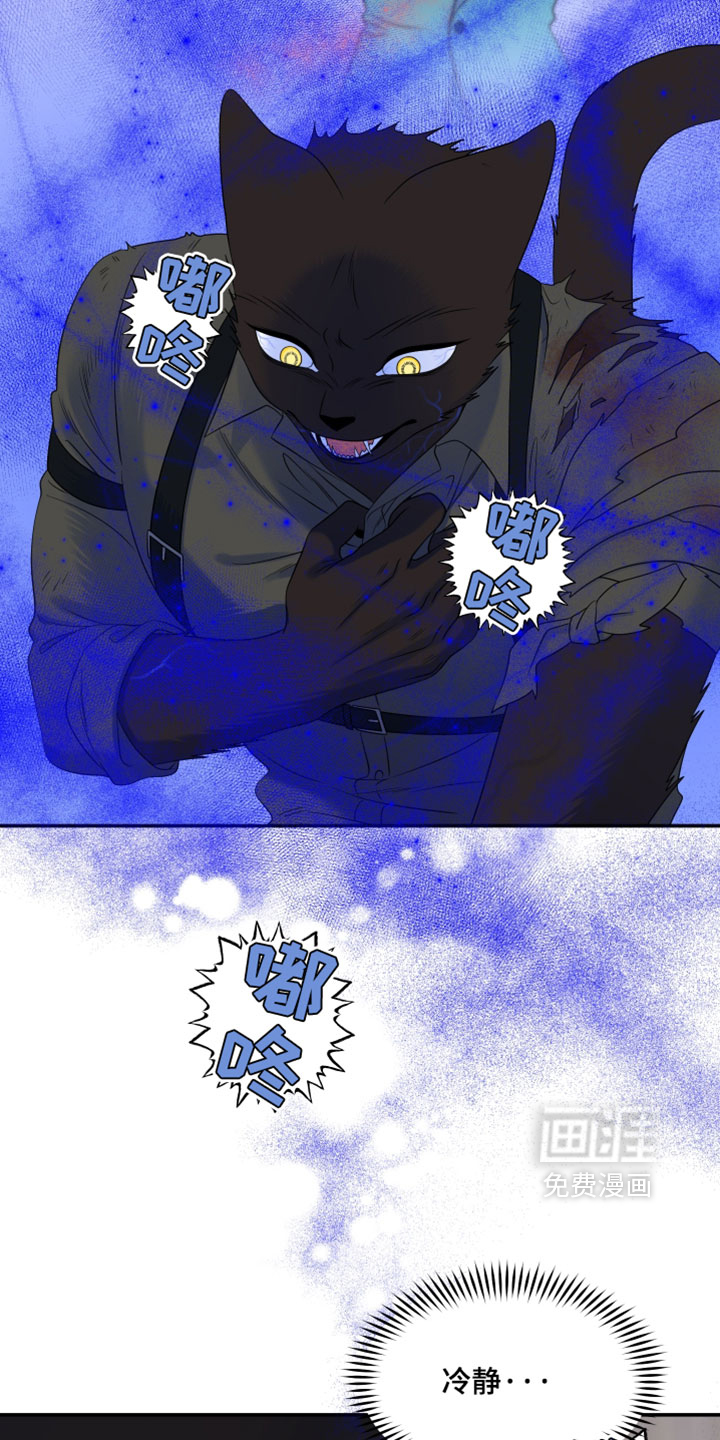 第204话14