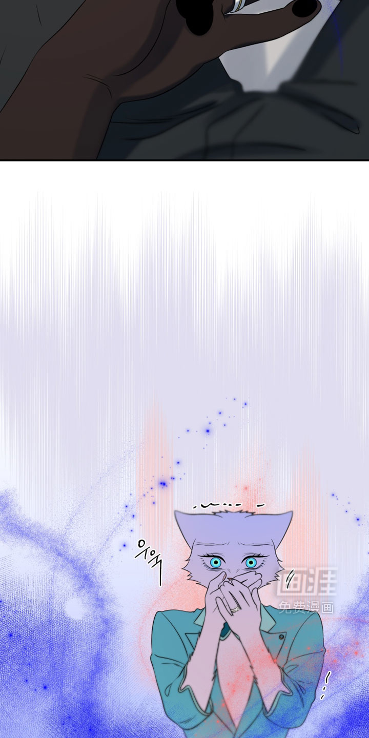 第204话13