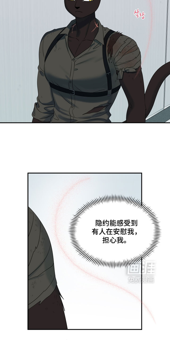 第204话23