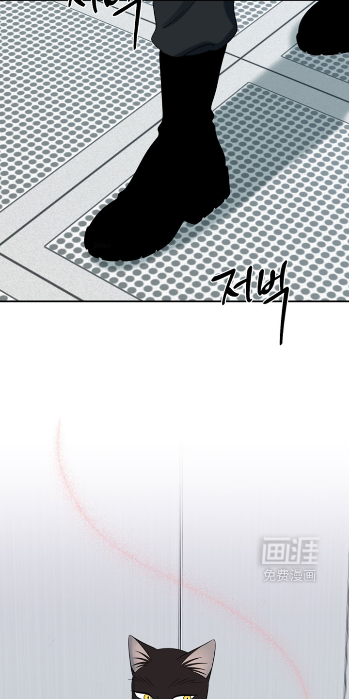 第204话22
