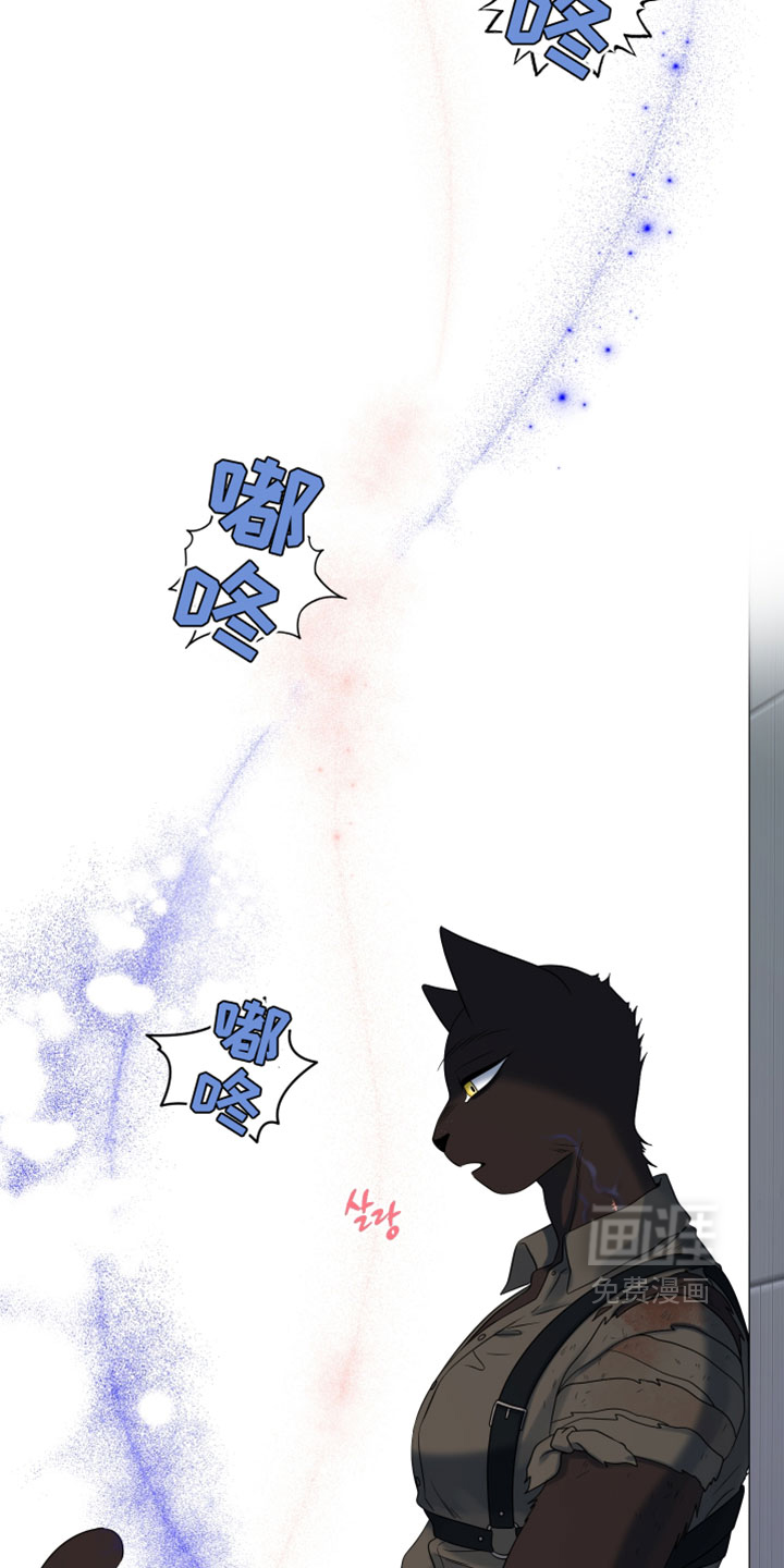 第204话16