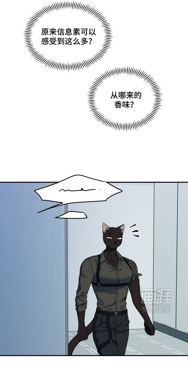 第204话24