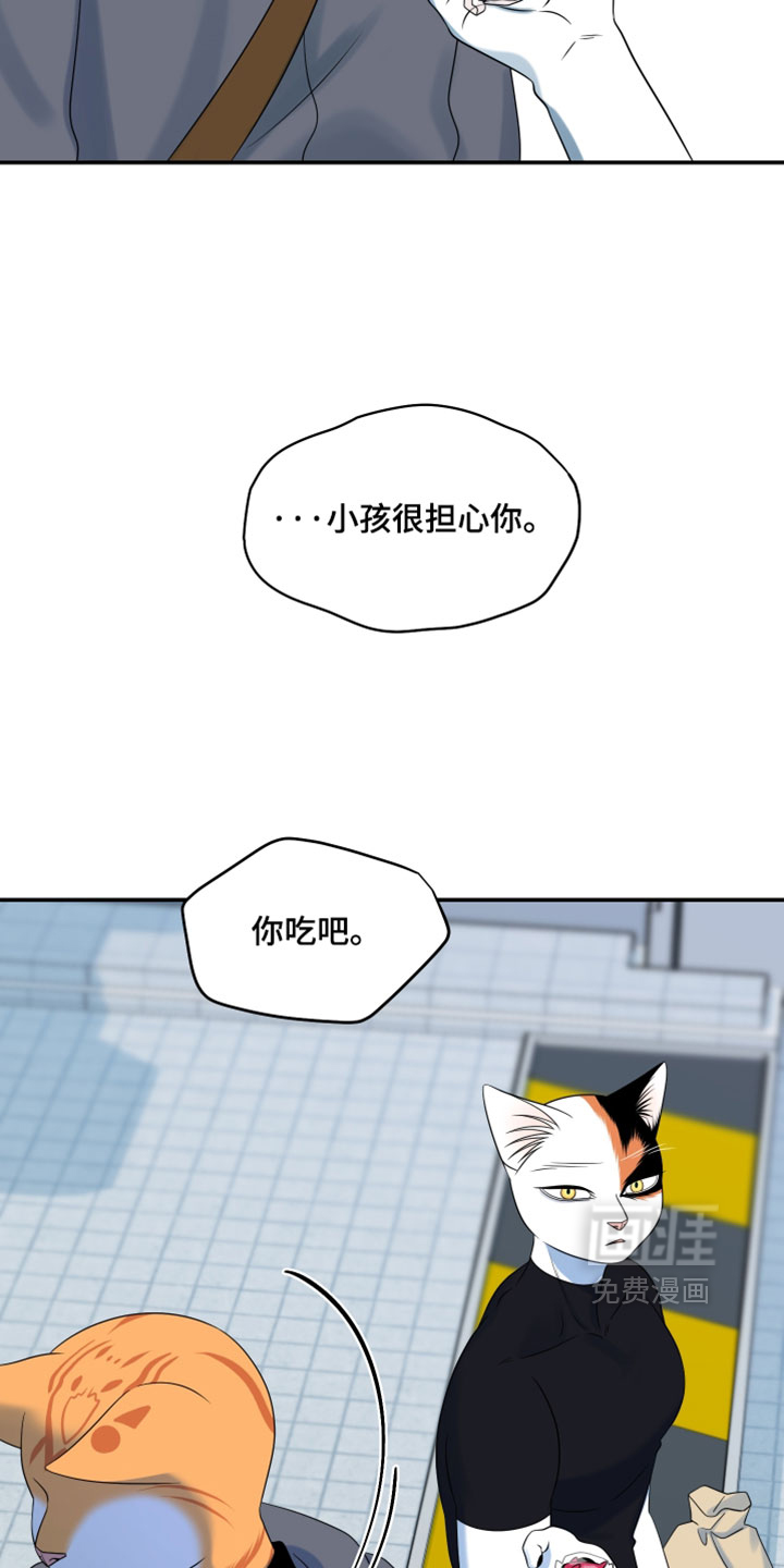 第203话18