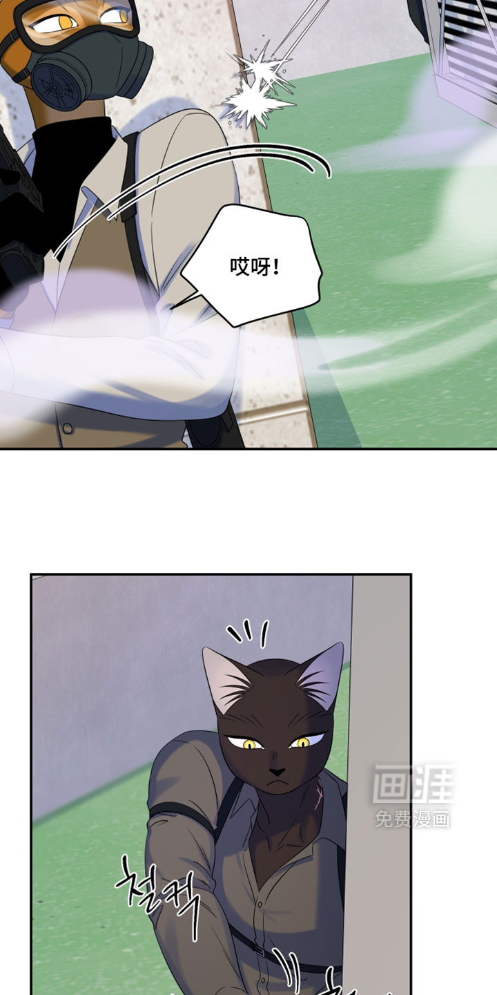 第203话23