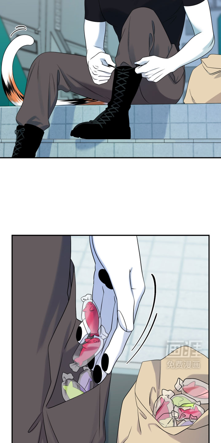 第203话12
