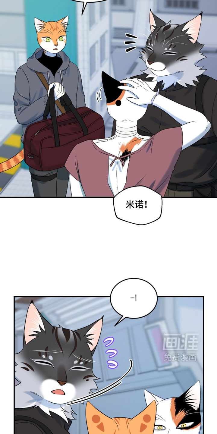 第203话9