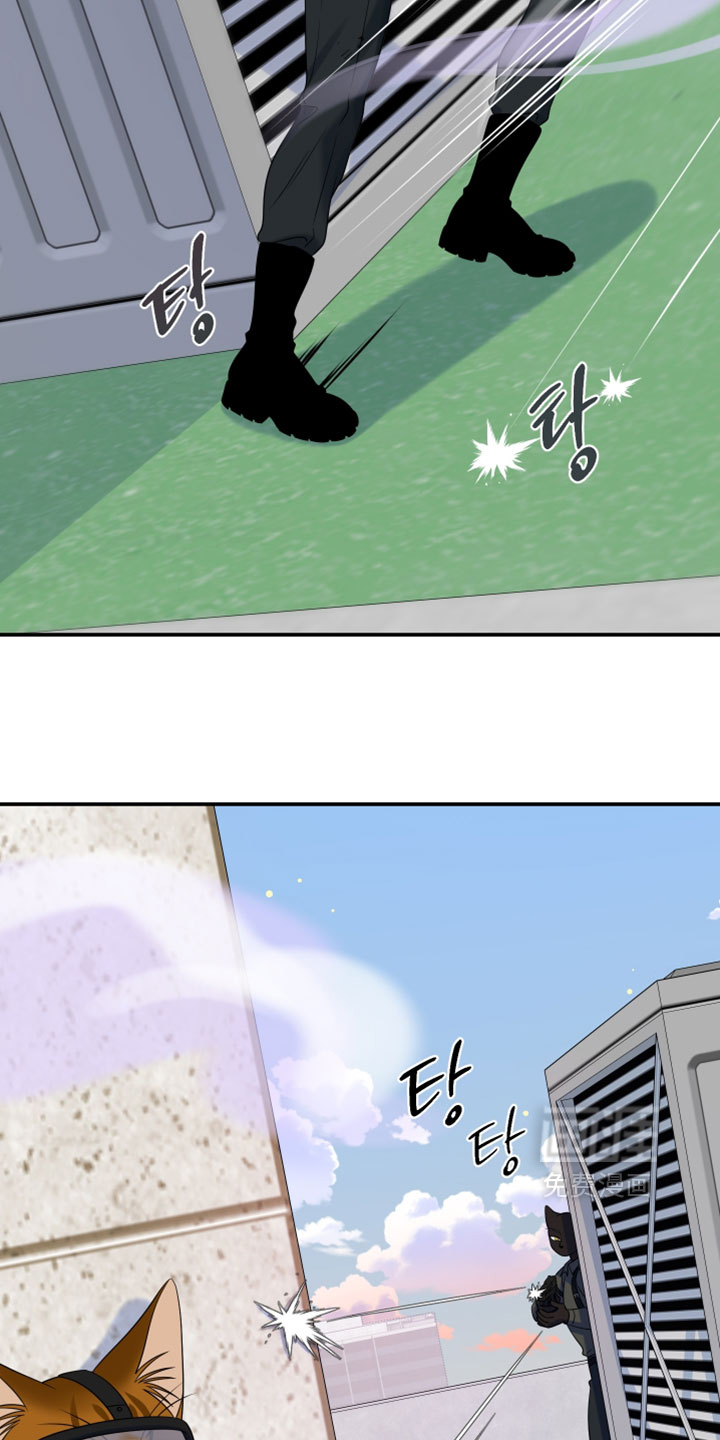 第203话22