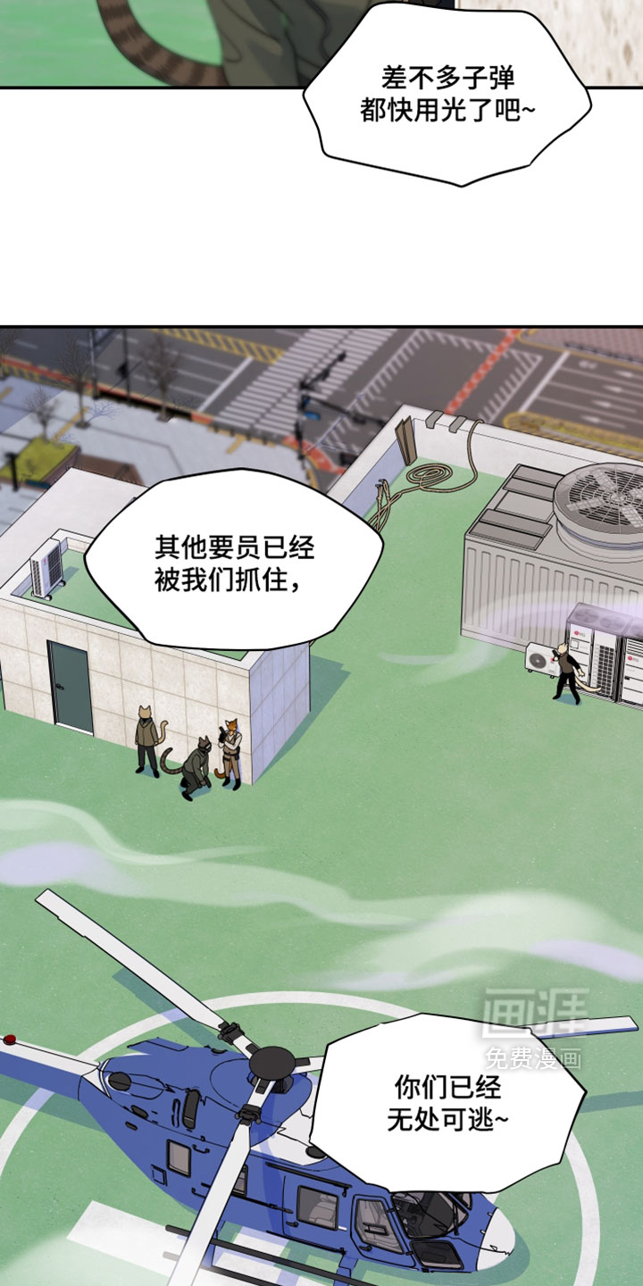 第203话25