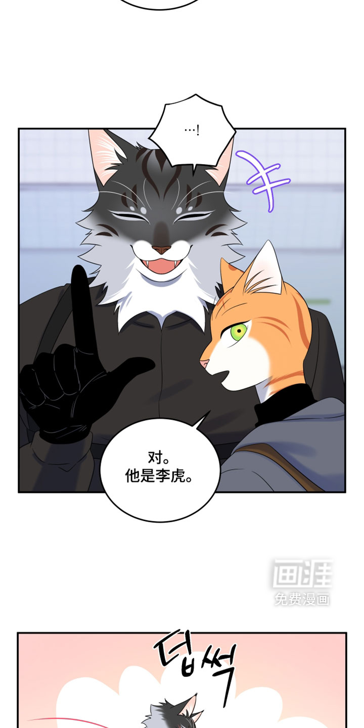 第203话2