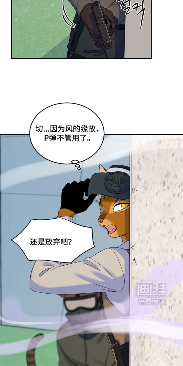 第203话24