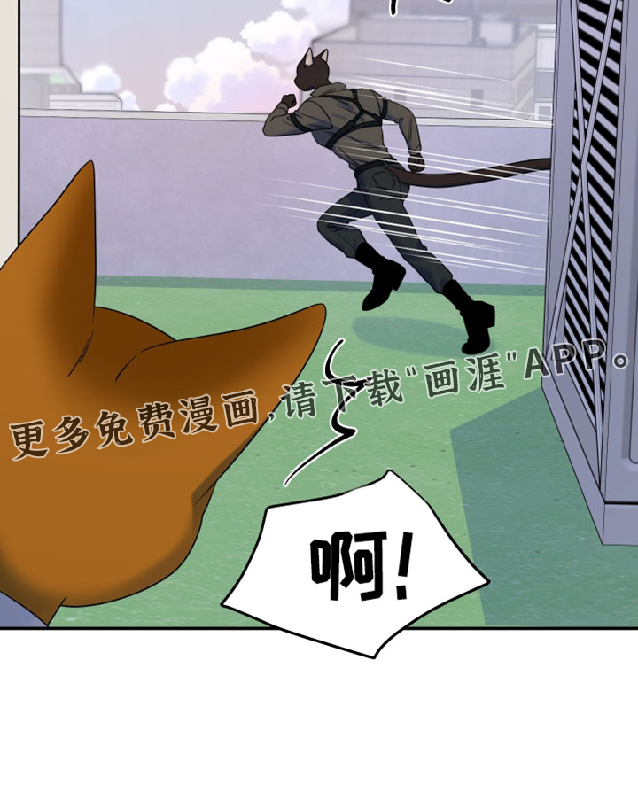 第203话28