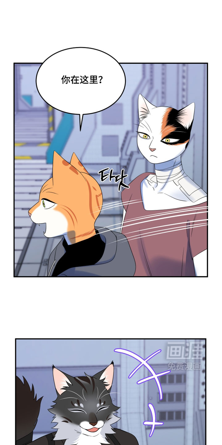 第203话0