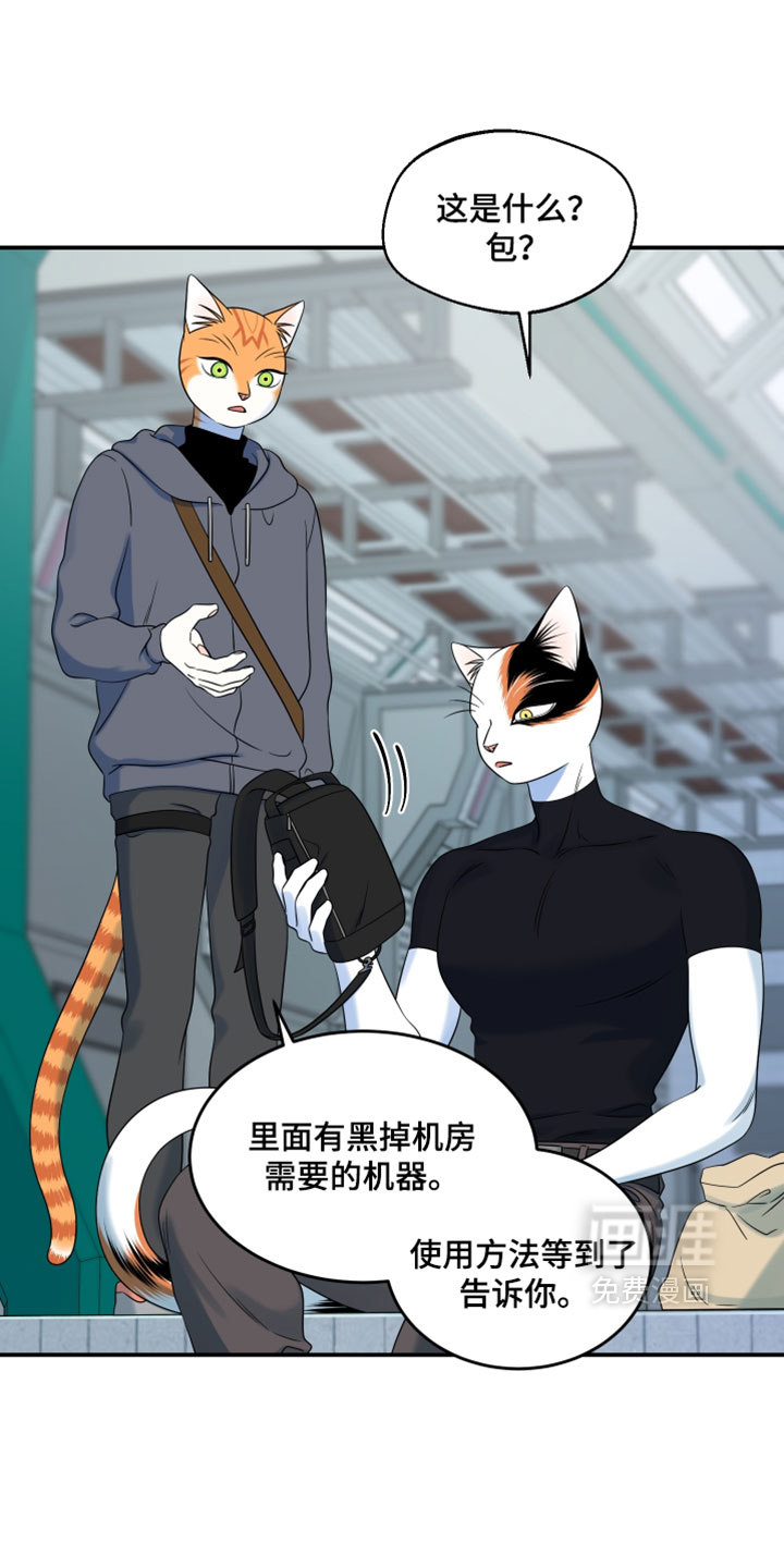 第203话14