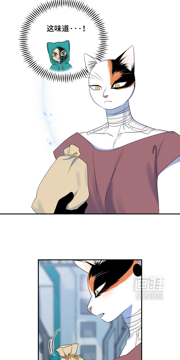 第203话7