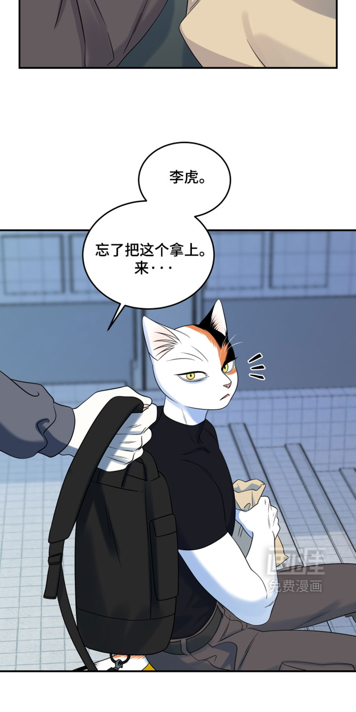 第203话13