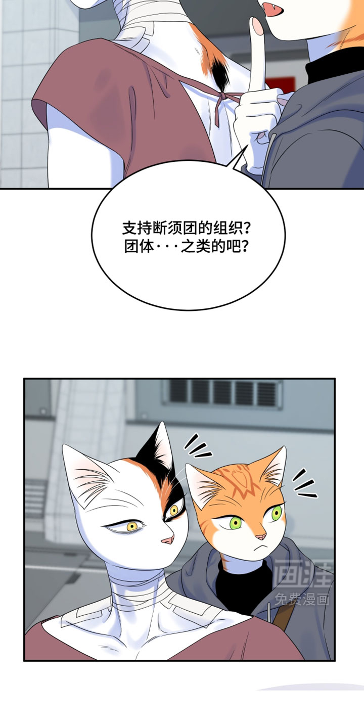 第202话14