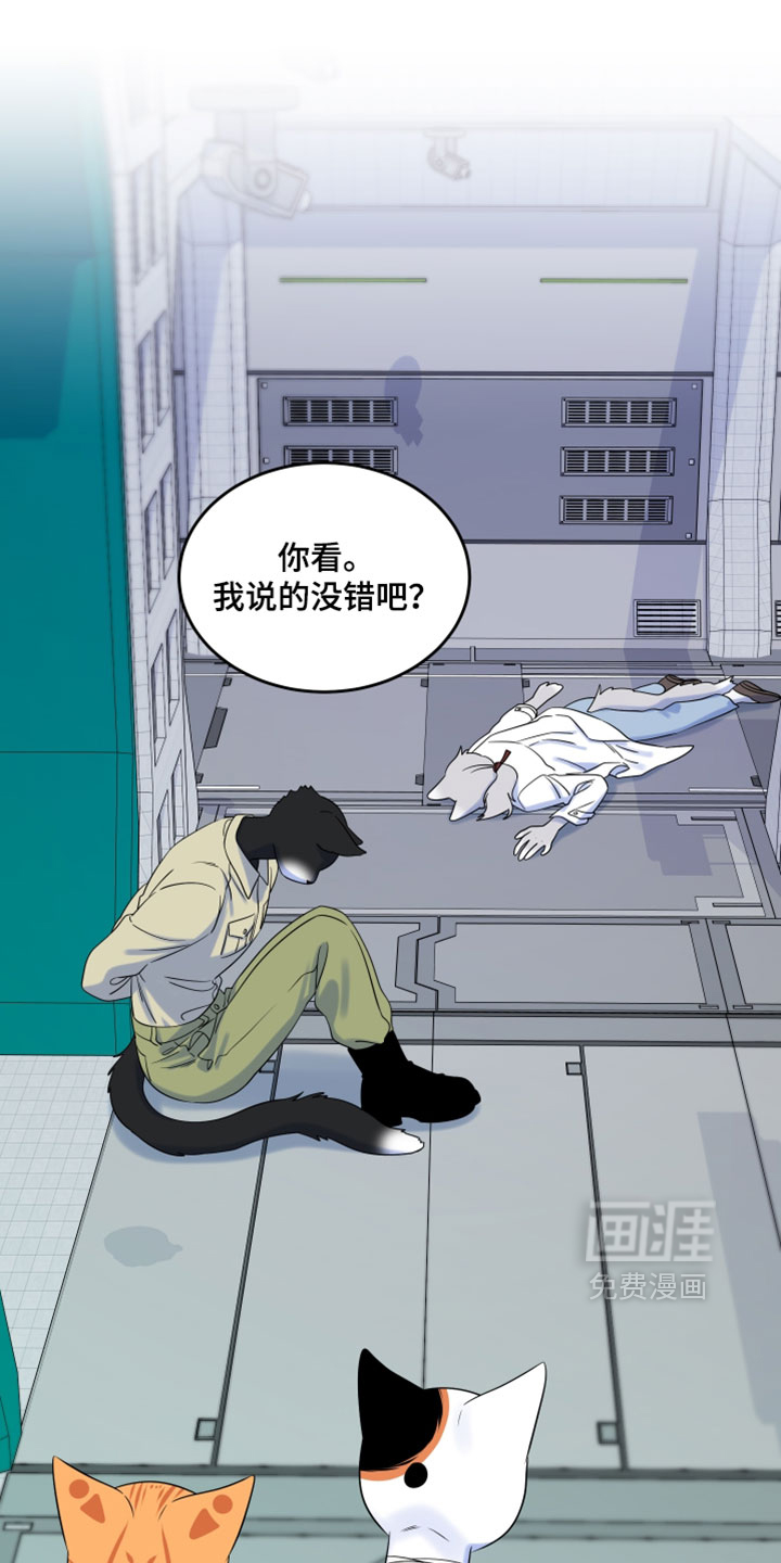 第202话15