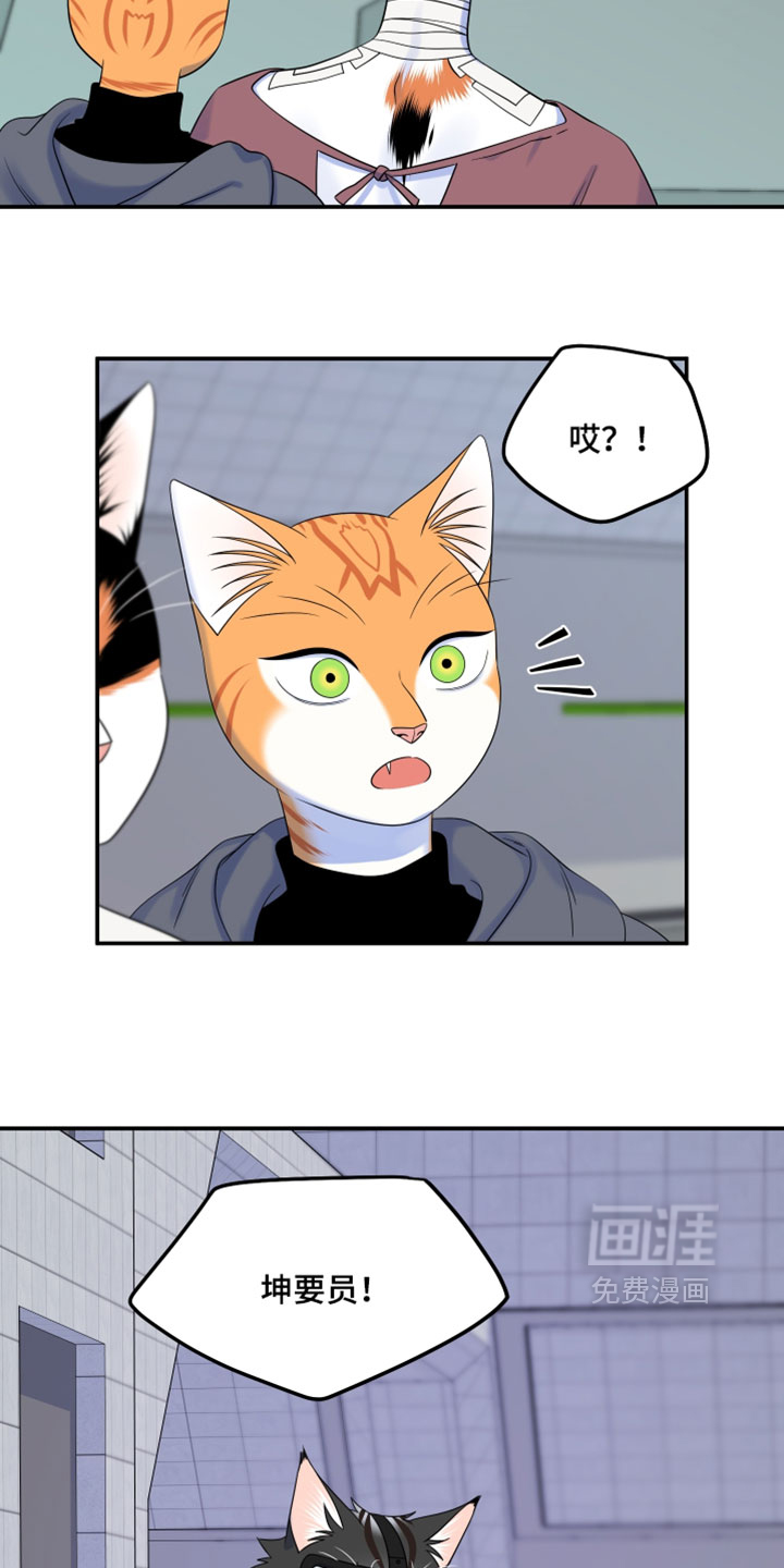 第202话16