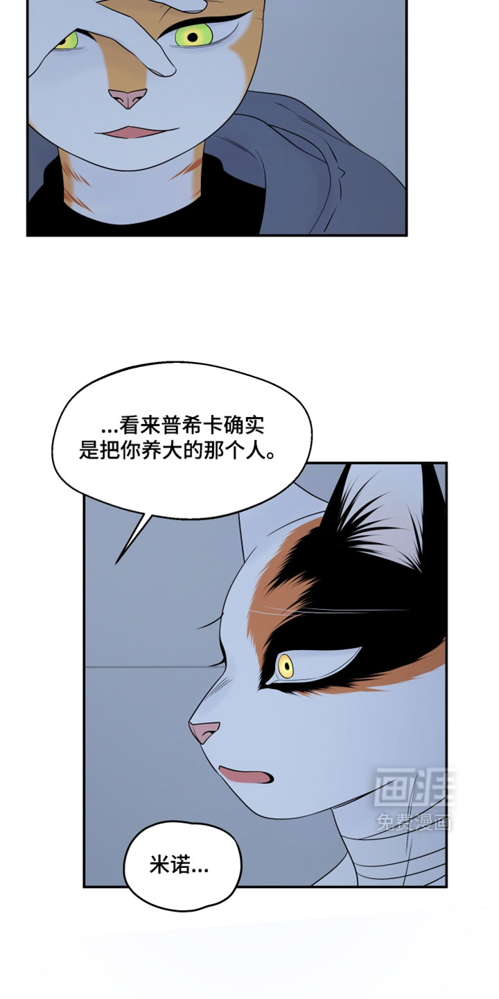 第202话4