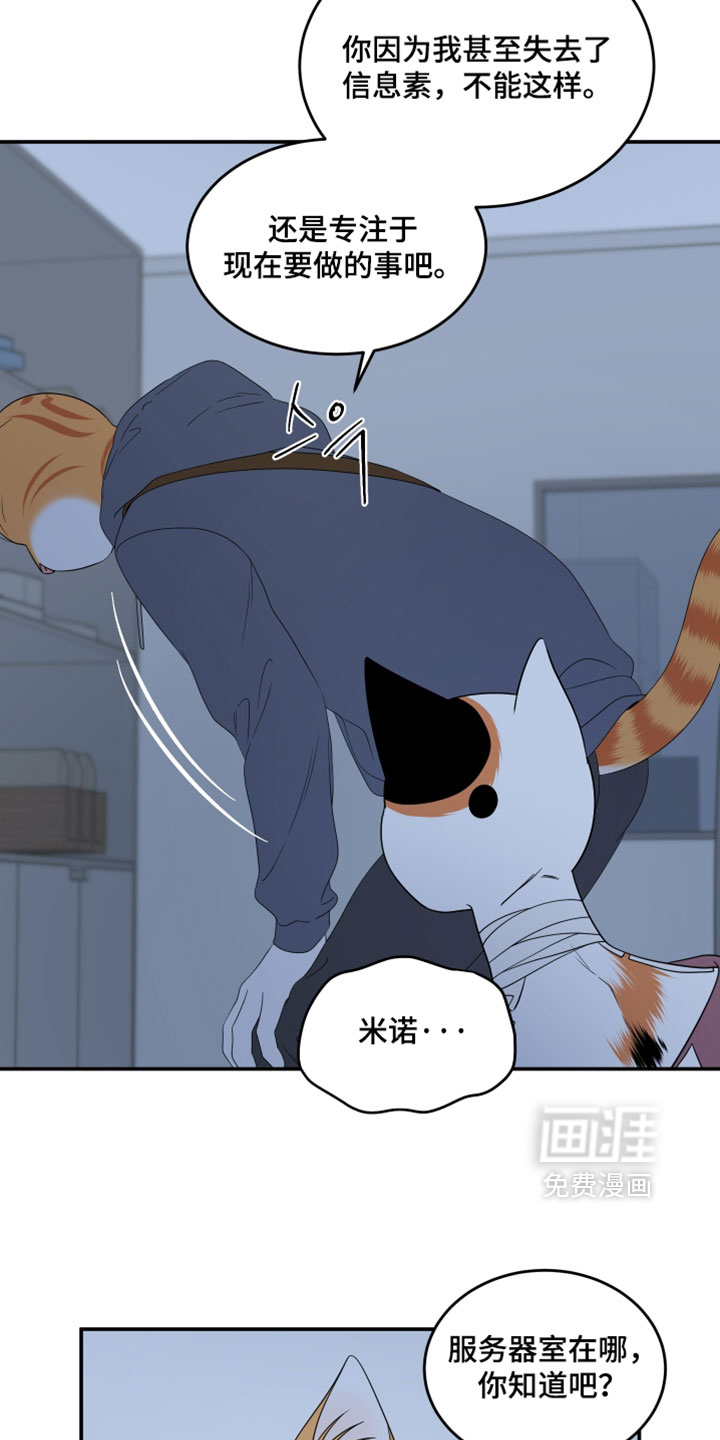 第202话11