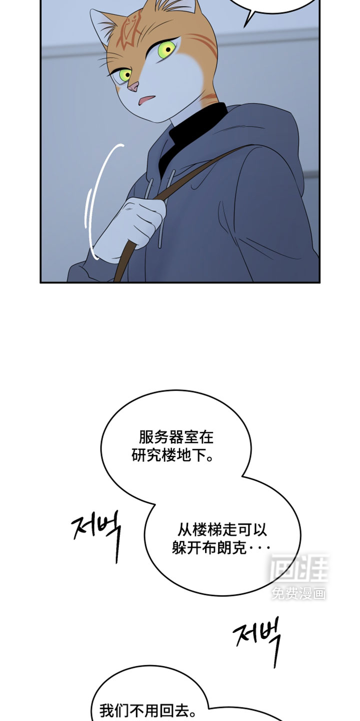 第202话12
