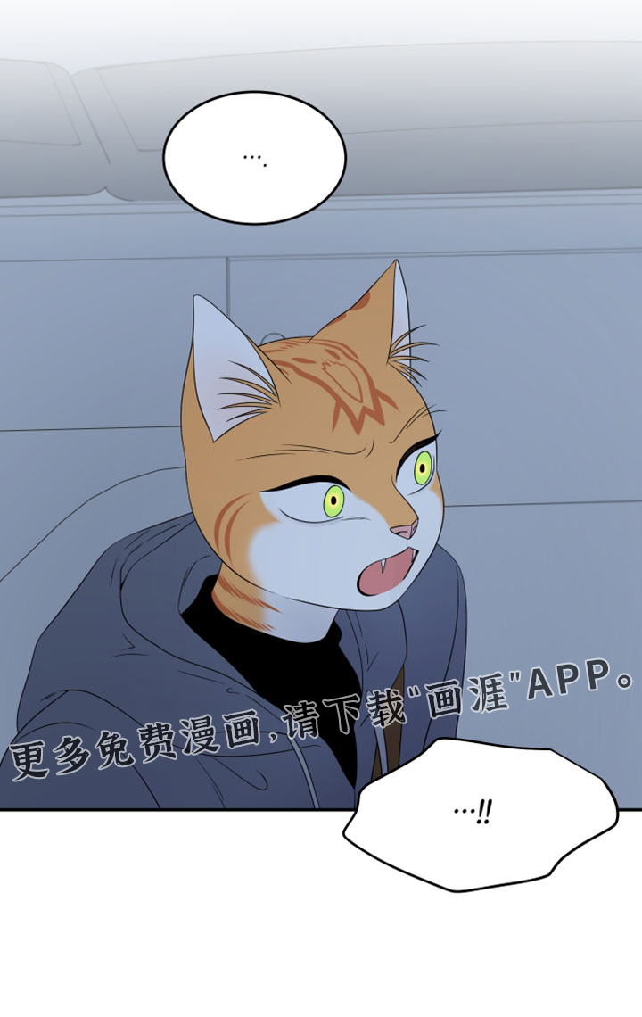 第201话17