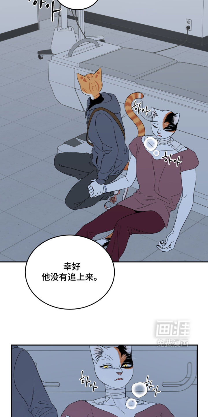 第201话11