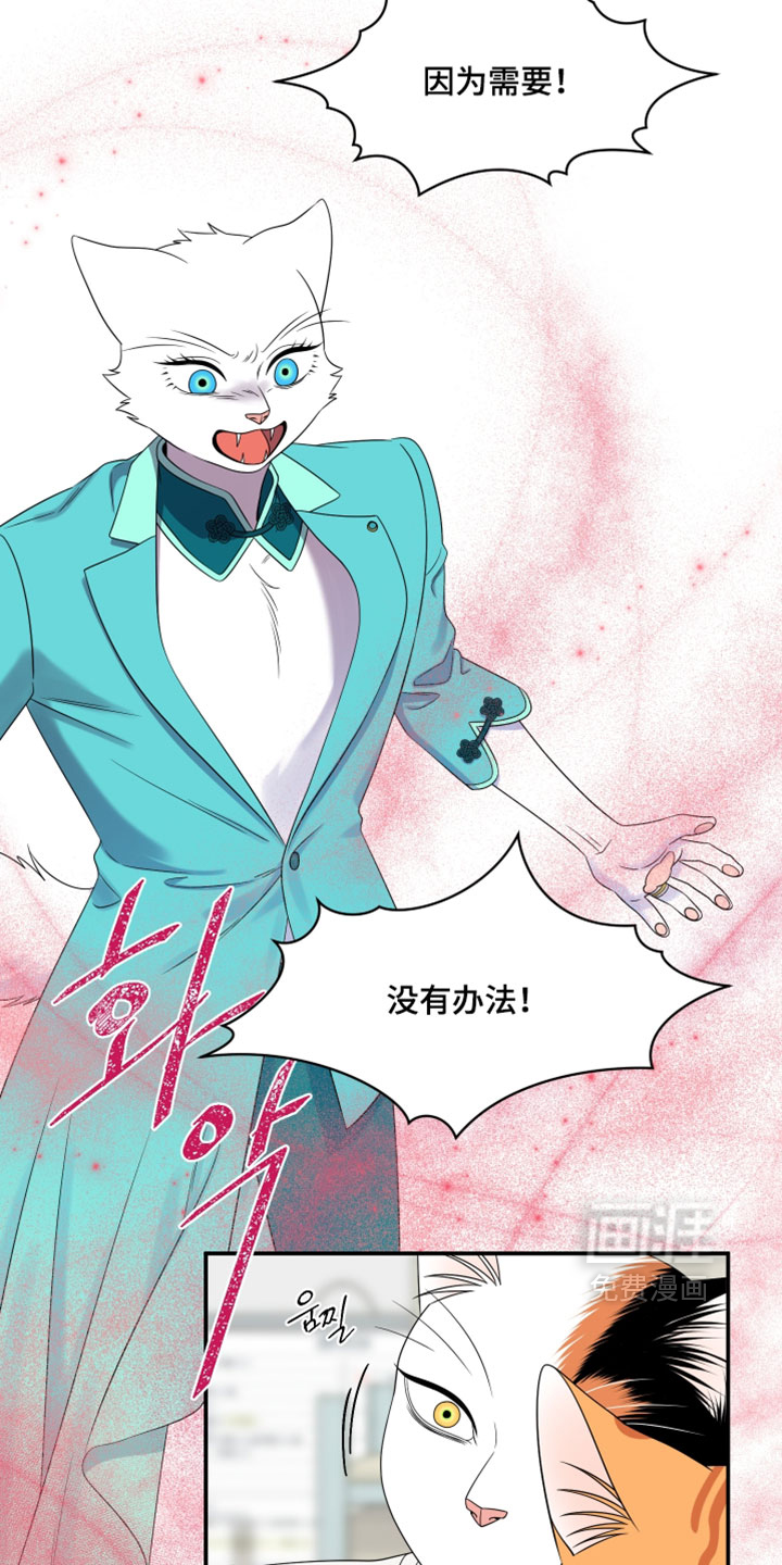 第200话6
