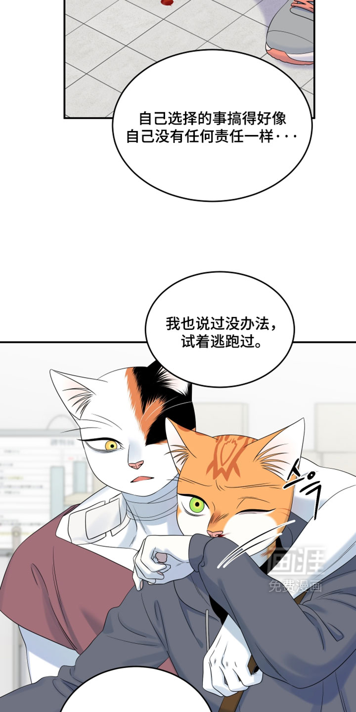 第200话10