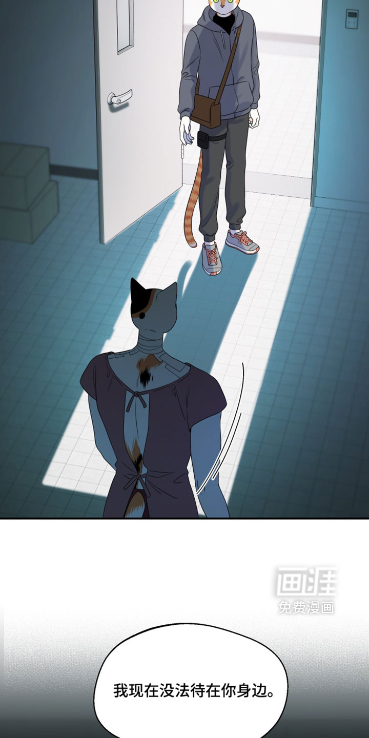 第199话15