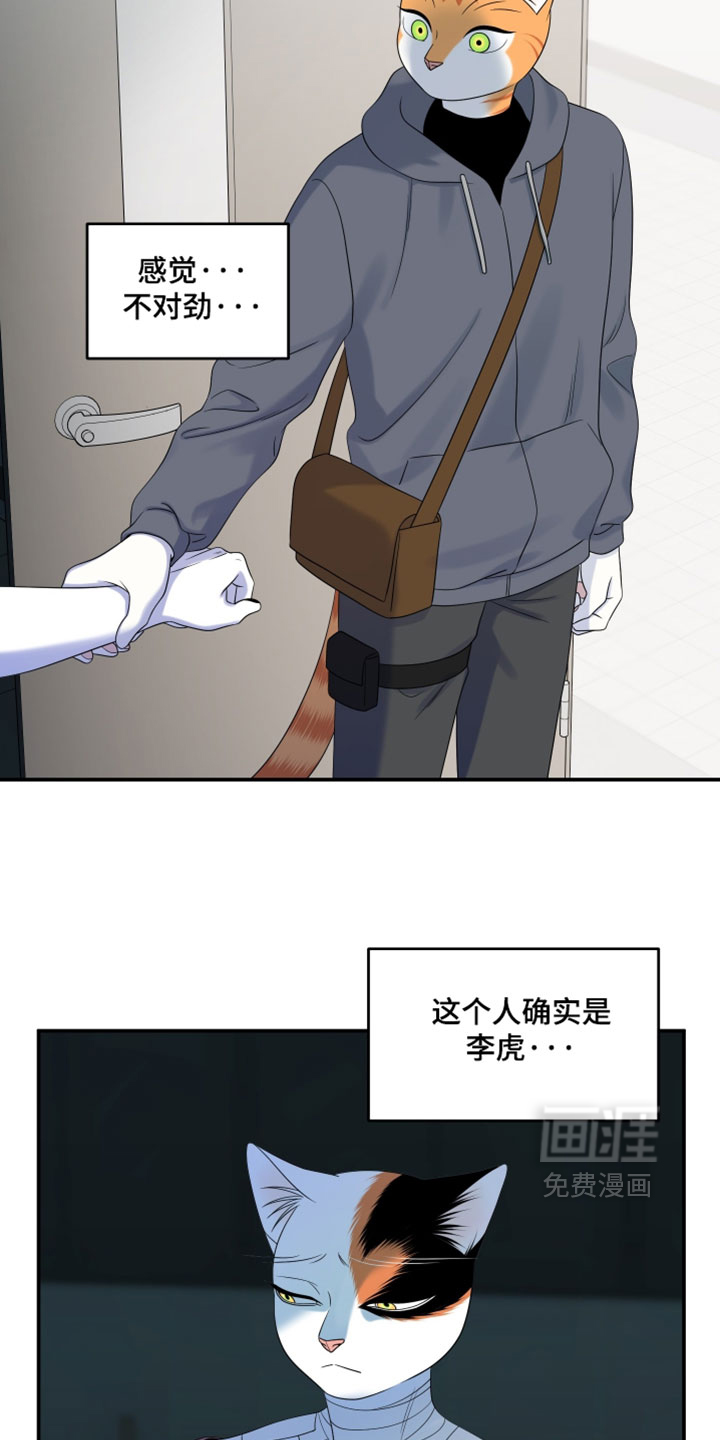 第199话5