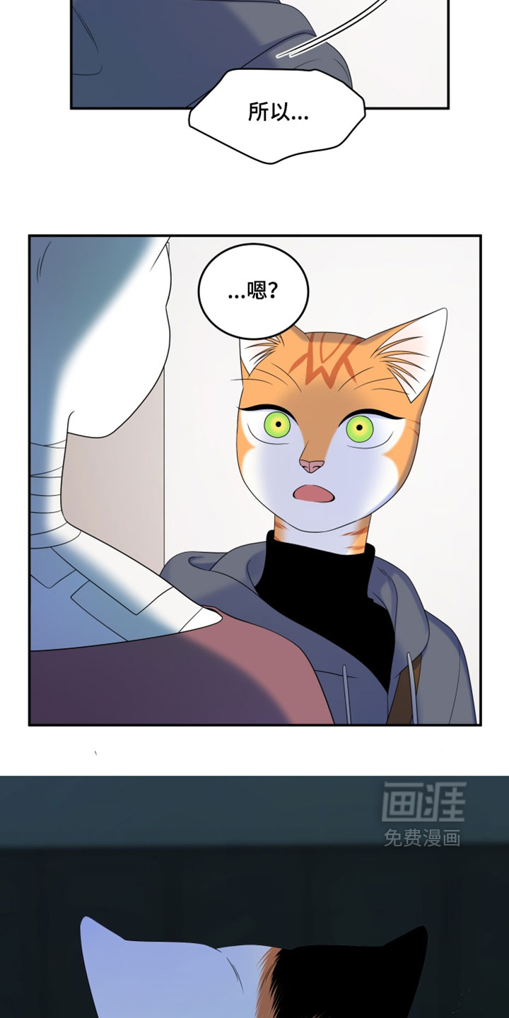 第199话3