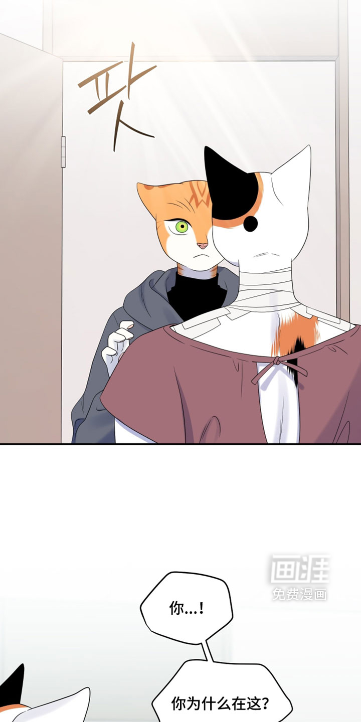 第199话19