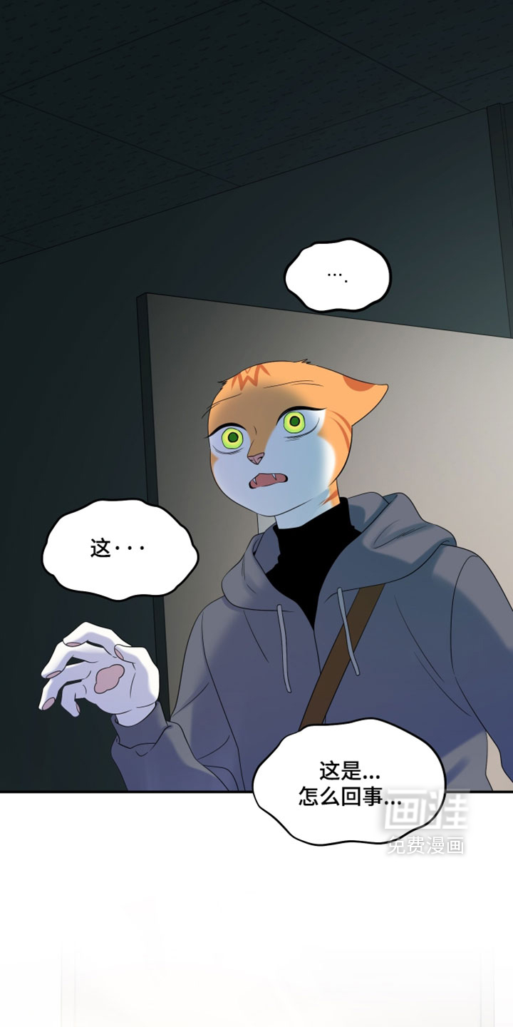 第199话18