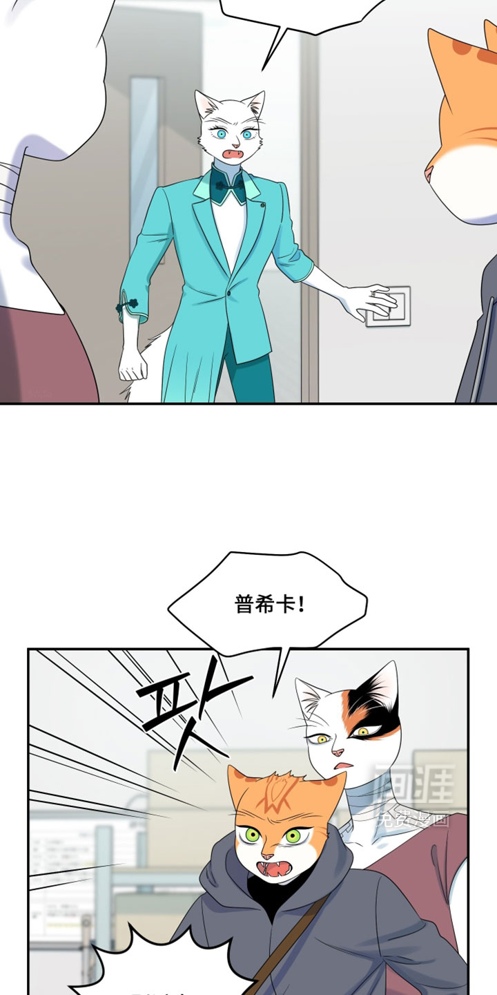 第199话20