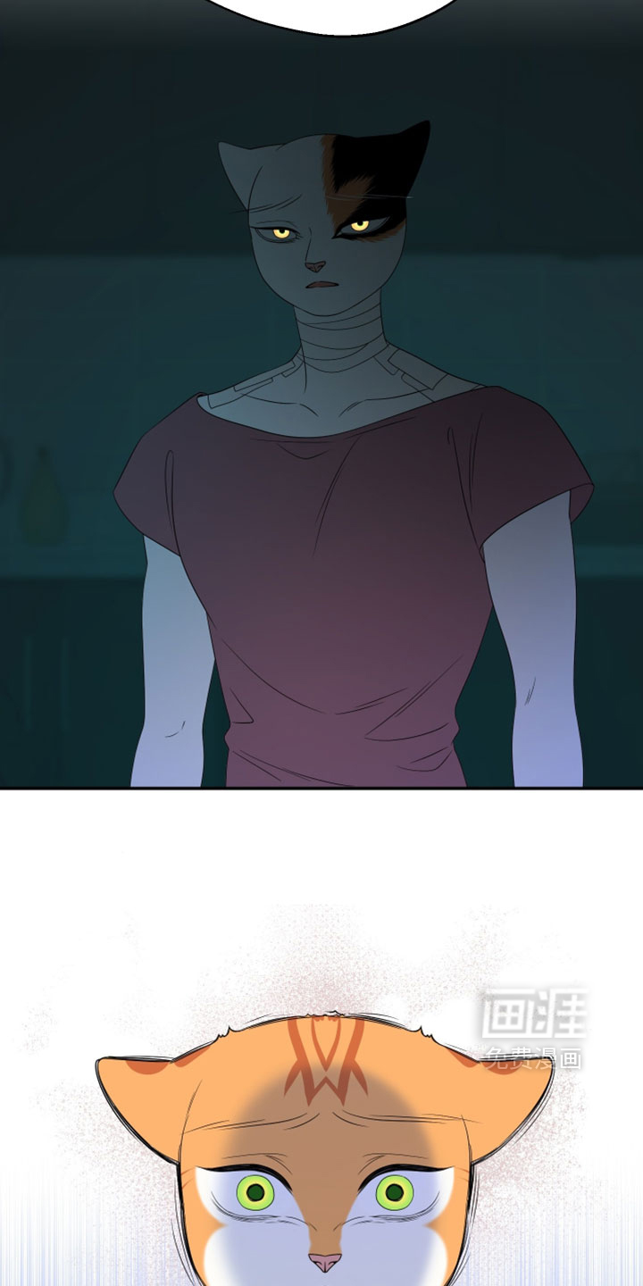 第199话16