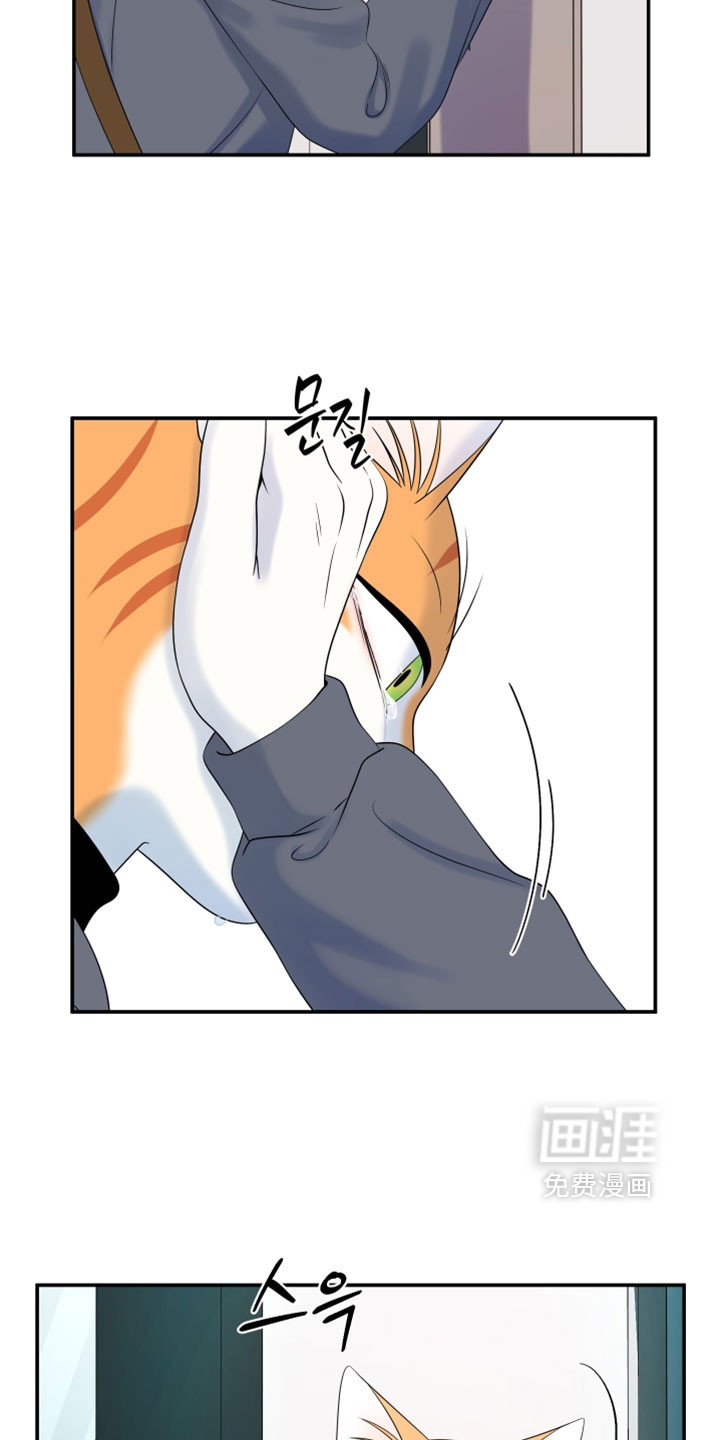 第198话16