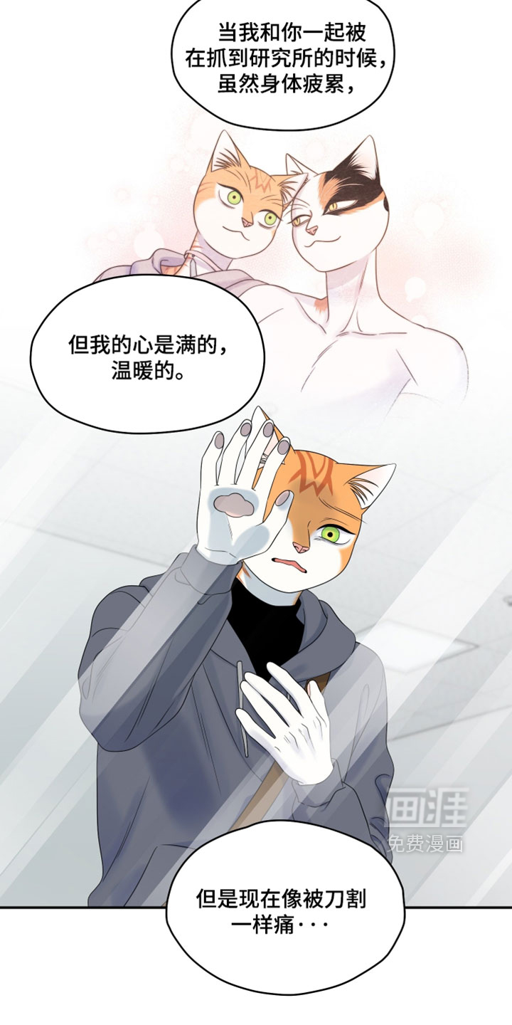 第198话12