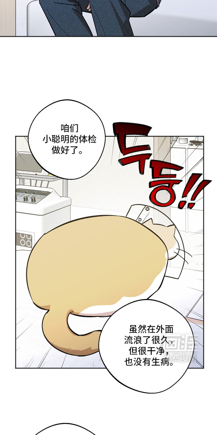 第70话 第15页