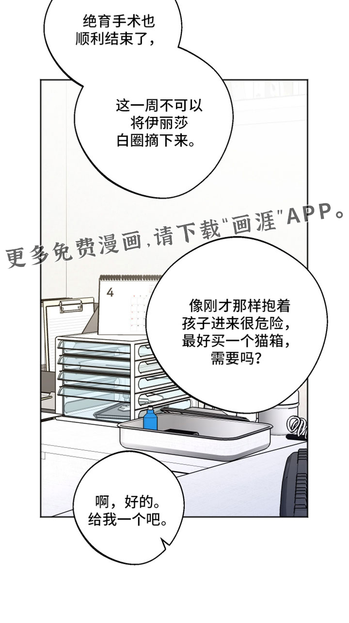第70话 第17页